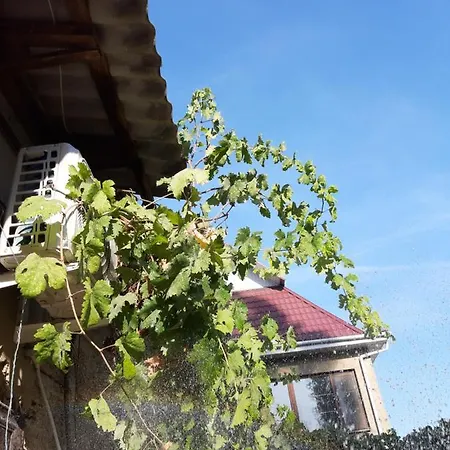 Appartement нова смарт *