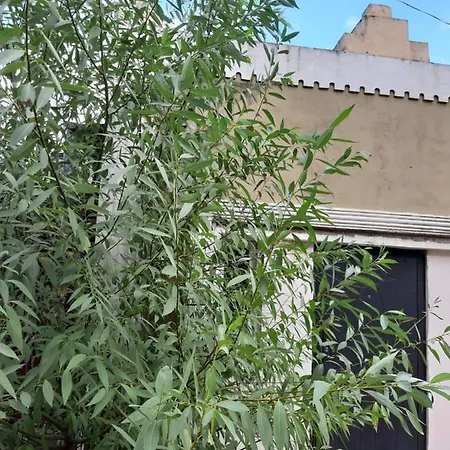 нова смарт Odessa