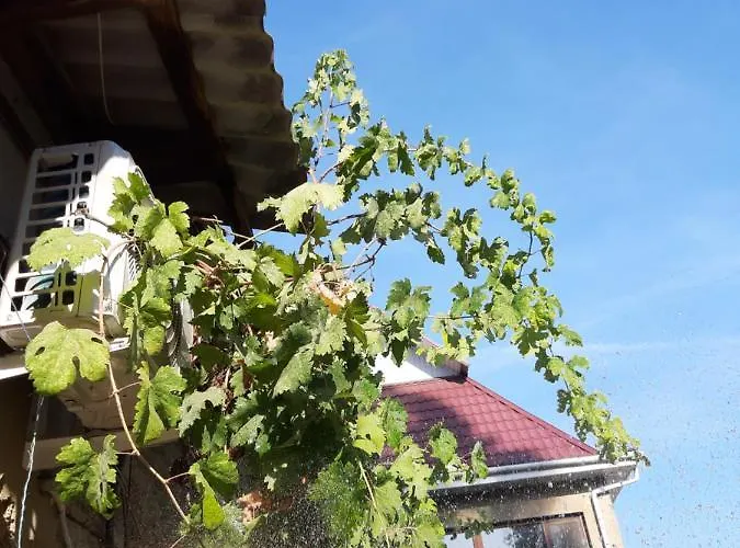 Apartamento нова смарт *