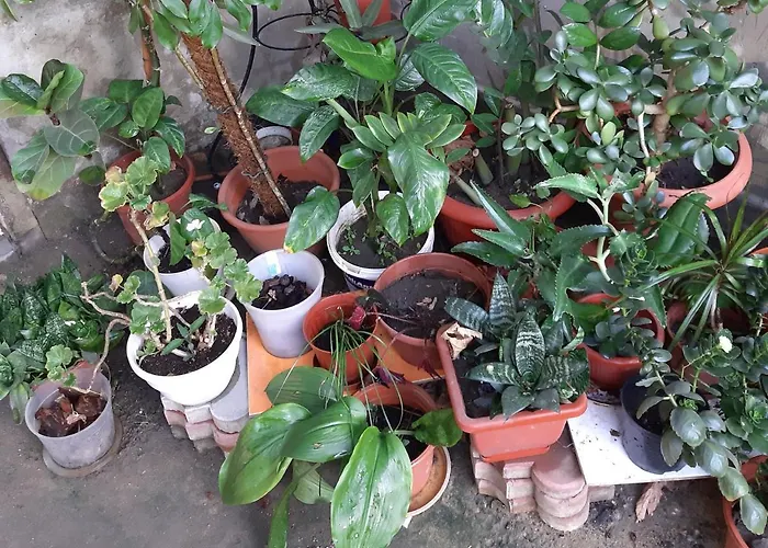 Apartamento нова смарт *